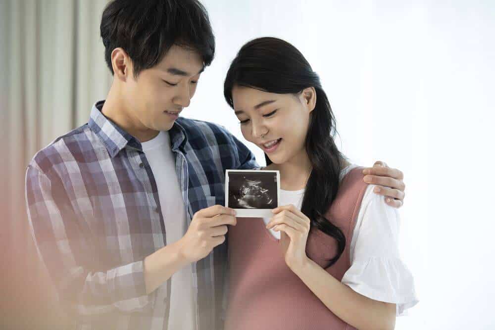 懷孕初期示意圖