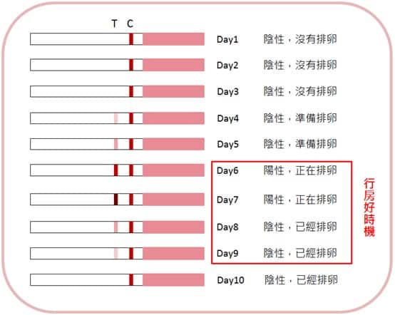 排卵試紙怎麼用 備孕必看 教你如何使用排卵試紙及8個注意事項 優德莎莉